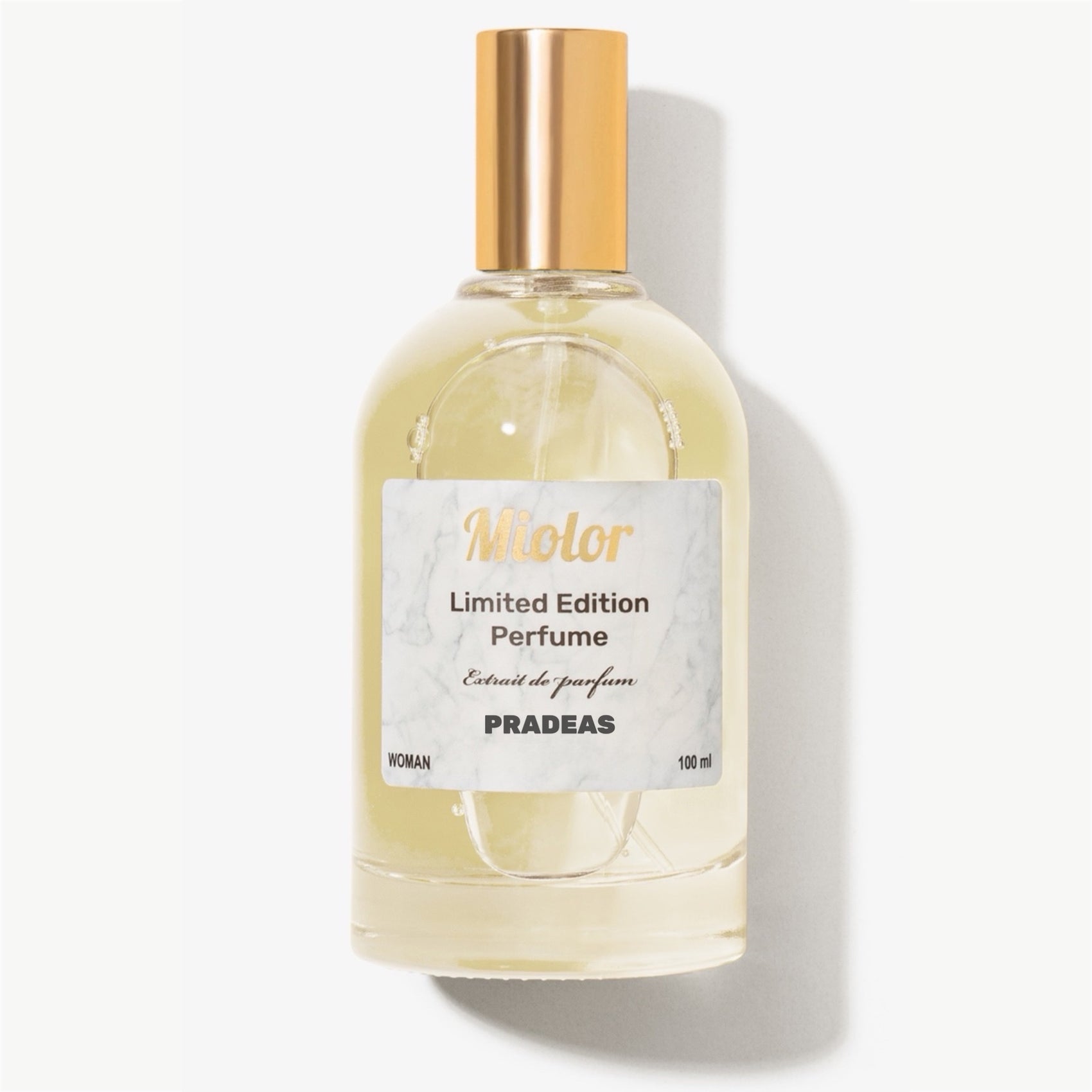 בהשראת Prada Paradoxe