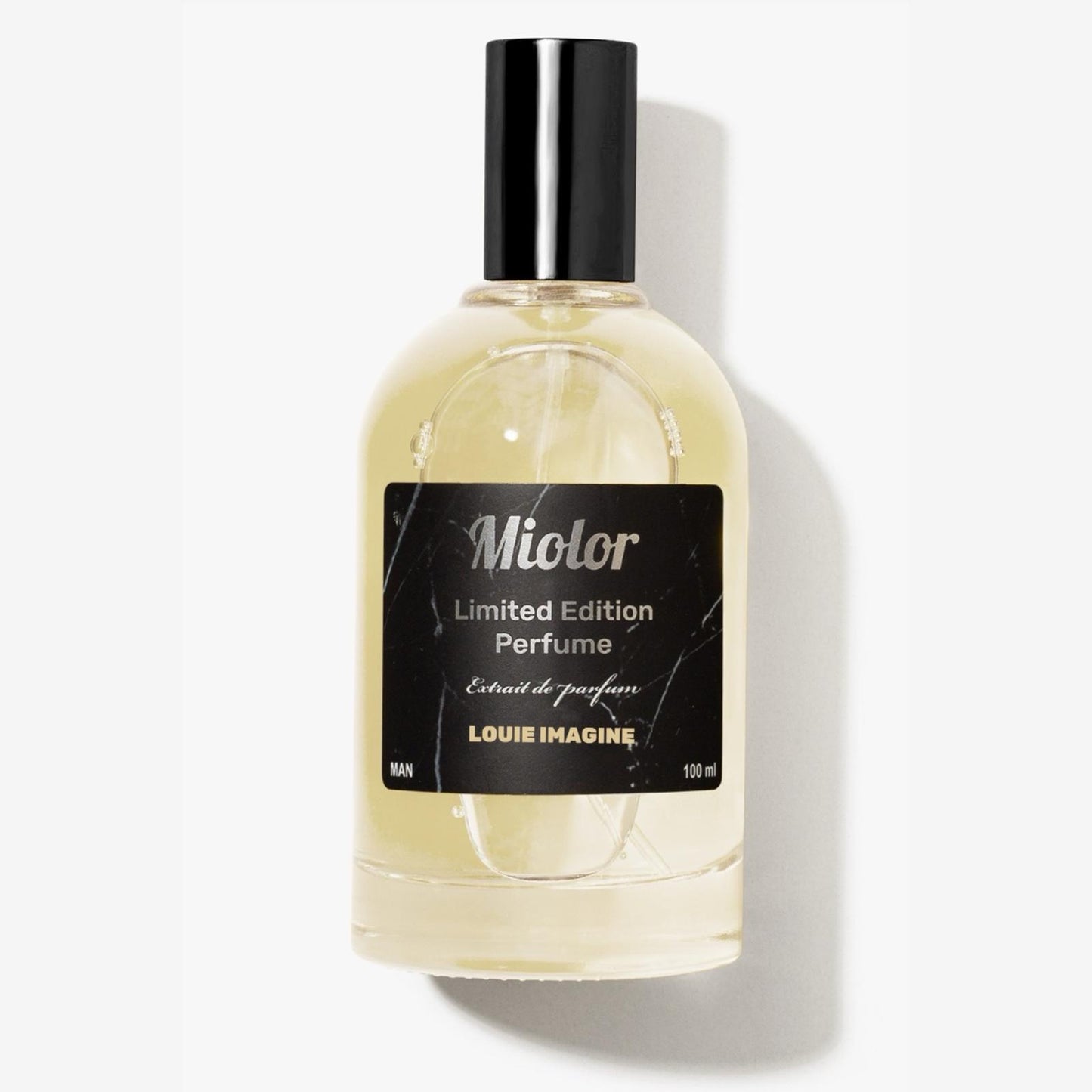 בהשראת Louis Vuitton Imagination